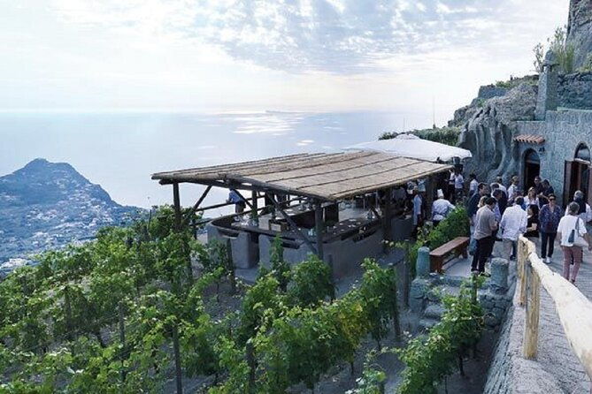 premium-ischia-wine-tasting-experience-with-transfer-included