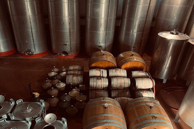 premium-ischia-wine-tasting-experience-with-transfer-included