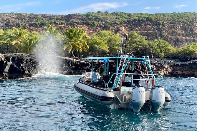 Premium Kona Coast Morning Snorkel - Final Thoughts