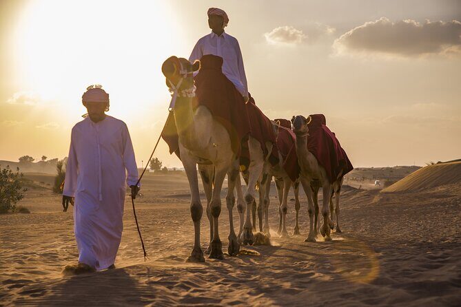 Premium Morning Red Dunes with Quad Bike - The Sum Up