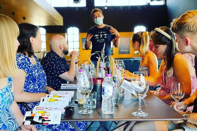 premium-nemea-wine-tour-from-athens-nafplio-or-nemea-with-oenologists-4