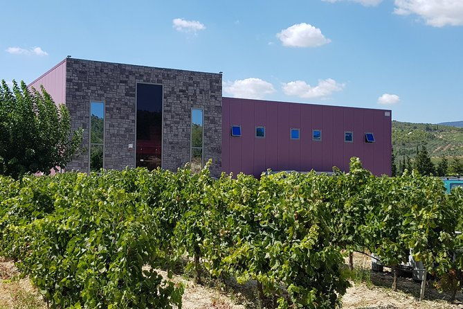 premium-nemea-wine-tour-from-athens-nafplio-or-nemea-with-oenologists