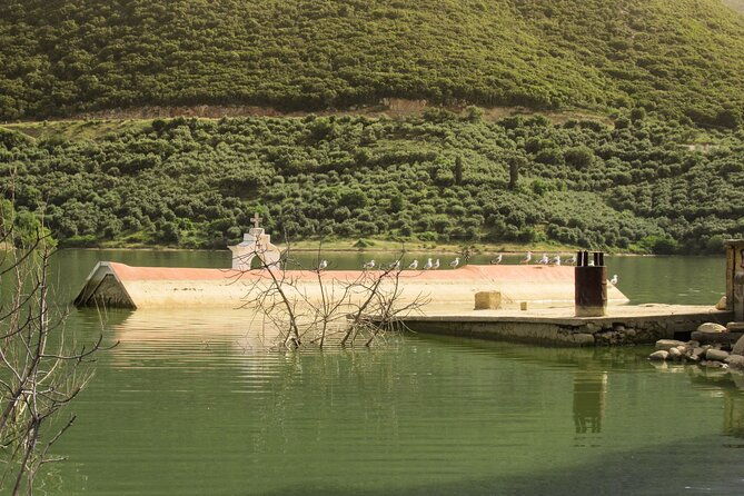 premium-off-road-tour-to-lasithi-plateau-olive-oil-tasting