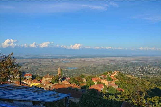 premium-organic-wine-tour-in-kakheti