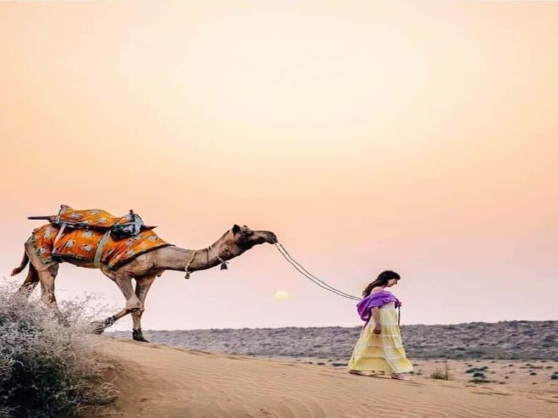 Premium Overnight Desert Safari, Camel Ride & Magical Sunset - Discovering the Magic of the Rajasthan Desert: A Review of the Premium Overnight Desert Safari