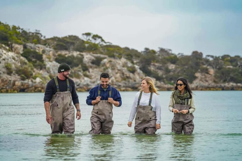 Premium Oyster Season Winter Tour Inc Wading & 12x Oysters - Key Points