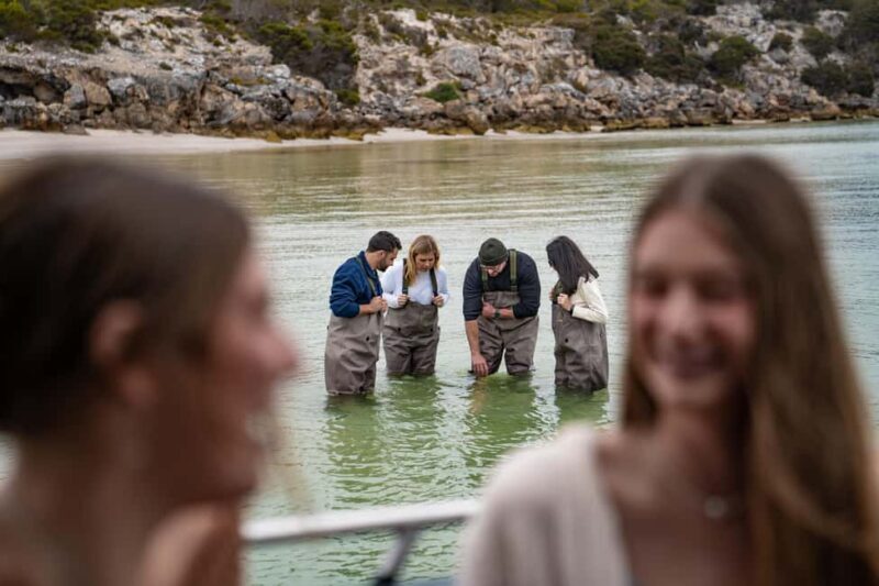 Premium Oyster Season Winter Tour Inc Wading & 12x Oysters - A Thorough Look at the Tour: What You Can Expect