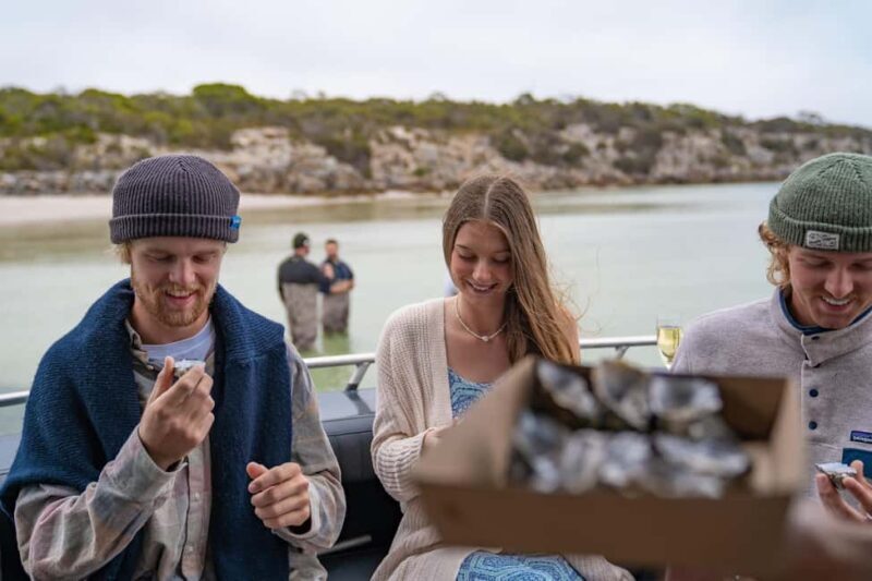 Premium Oyster Season Winter Tour Inc Wading & 12x Oysters - Who Should Consider This Tour?