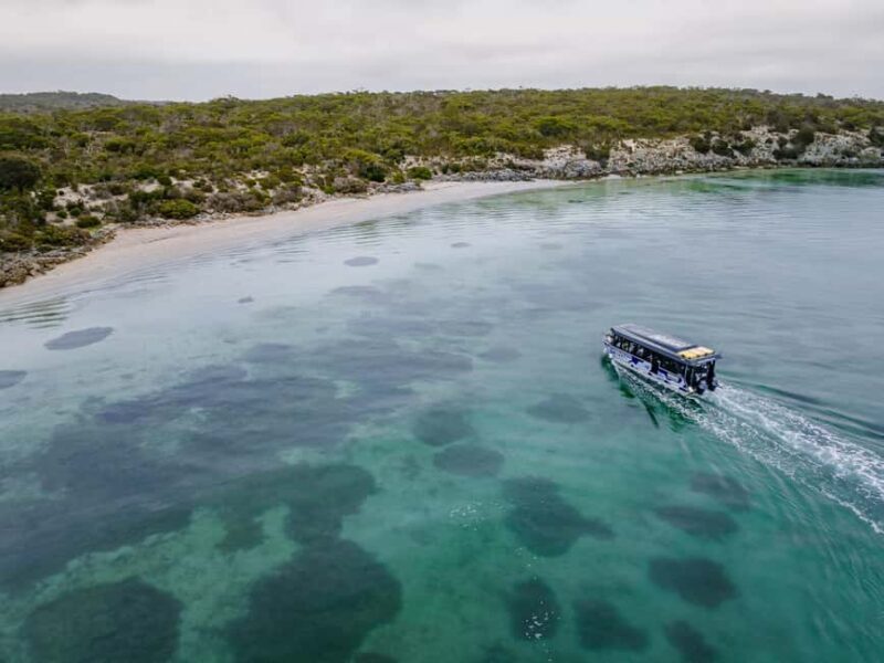 Premium Oyster Season Winter Tour Inc Wading & 12x Oysters - Final Thoughts: Is It Worth It?