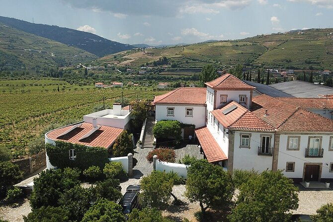premium-private-douro-tour-2-wineries-with-tastings-cruise