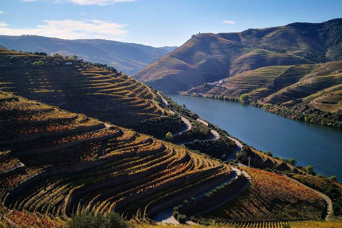 premium-private-douro-tour-3-wineries-with-tastings-lunch