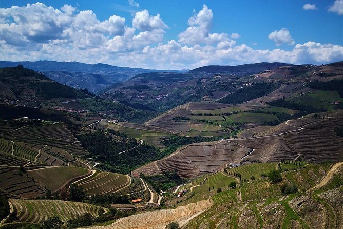 premium-private-douro-tour-3-wineries-with-tastings-lunch