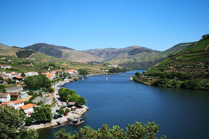 premium-private-douro-tour-3-wineries-with-tastings-lunch