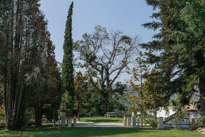 premium-private-douro-vinho-verde-tour-wine-tastings-lunch