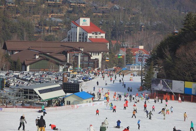 [Premium Private Ski Tour] Pyeongchang Olympic Site (Private Ski Lesson) - An In-Depth Look at the Experience