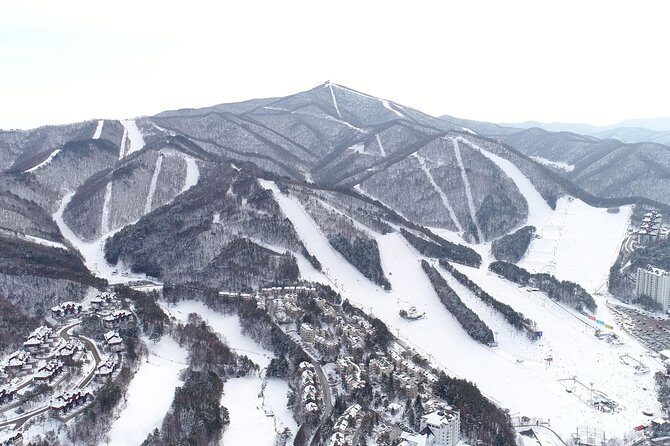 [Premium Private Ski Tour] Pyeongchang Olympic Site (Private Ski Lesson) - Who Should Consider This Tour?