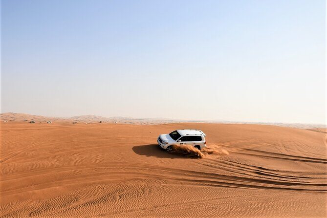Premium Red Dunes Bashing with Quad Bike, Camel, Falcon &VIP Camp - Analyzing the Tour Experience