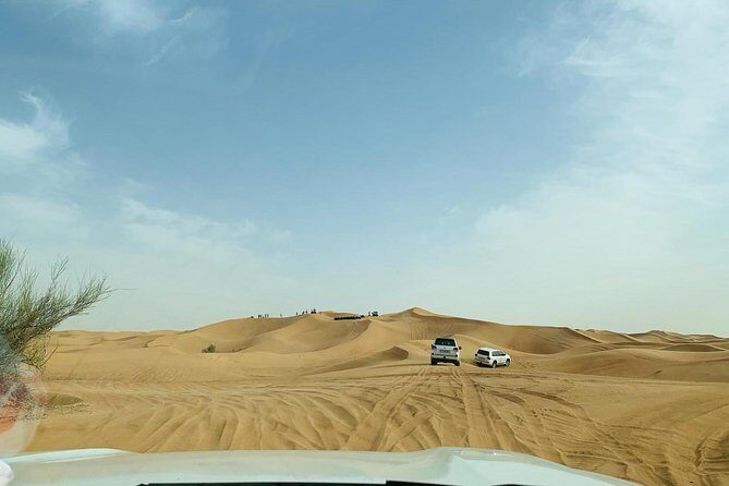 Premium Red Dunes Safari and Camel Safari with BBQ Dinner - Who Is This Tour Best For?
