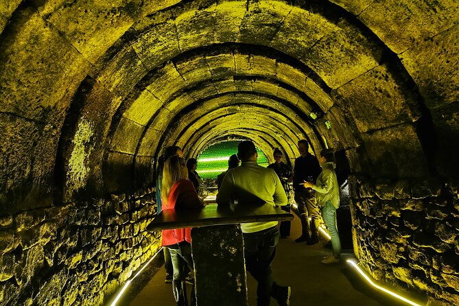 premium-ribera-del-duero-tour-with-winemaker-guide-2