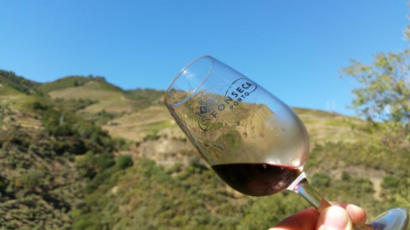 premium-small-group-douro-valley-wine-tasting-from-porto