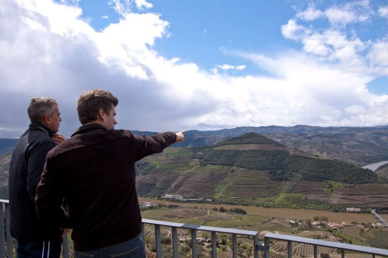 premium-small-group-douro-valley-wine-tasting-from-porto