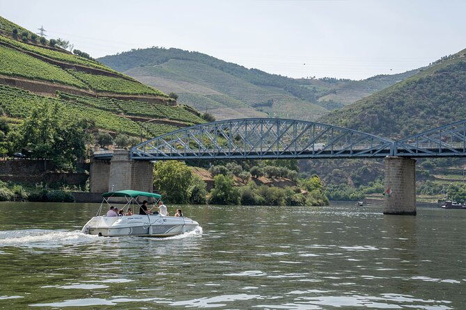 premium-small-group-douro-valley-wine-tour-with-lunch-and-cruise