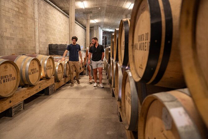 premium-small-group-douro-valley-wine-tour-with-lunch-and-cruise