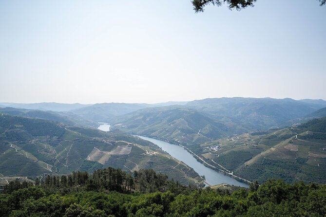 premium-small-group-douro-valley-wine-tour-with-lunch-and-cruise