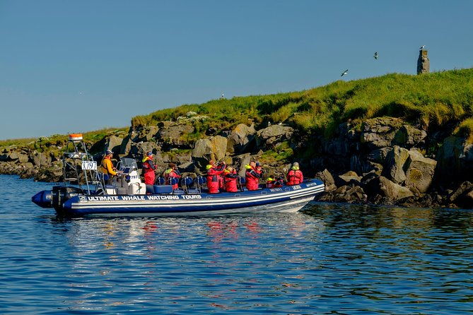 premium-small-group-puffin-bird-watching-tour-from-reykjavik