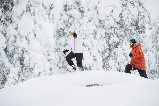premium-snowshoeing-in-pyha-luosto-national-park