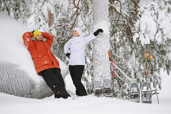 premium-snowshoeing-in-pyha-luosto-national-park