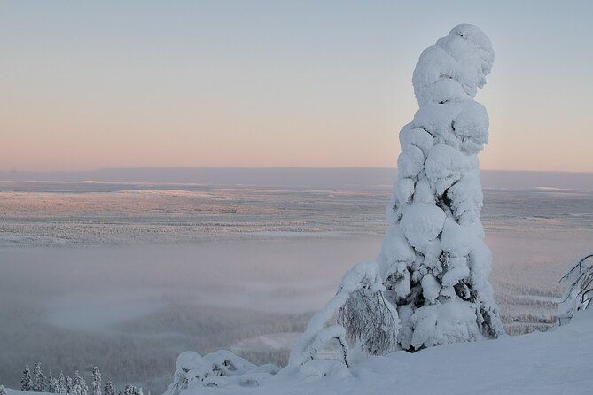 premium-snowshoeing-in-pyha-luosto-national-park