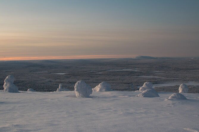 premium-snowshoeing-in-pyha-luosto-national-park