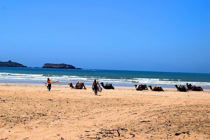 Premium Surf Trip to Essaouira from Marrakesh - The Complete Experience: What to Expect from the Tour