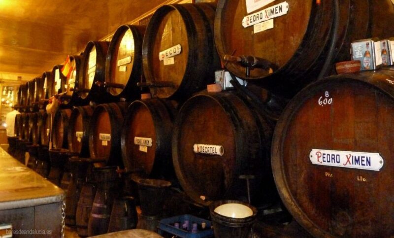 PREMIUM TAPAS TOUR: Paella, Market Tastings, and Winery - The Sum Up
