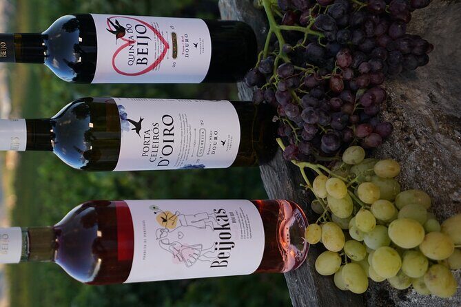 PREMIUM TASTING and TAPAS with GUIDED TOUR - FAQs