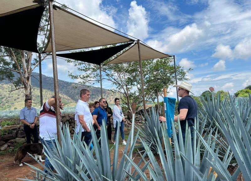 premium-tequila-route-with-professional-tasting