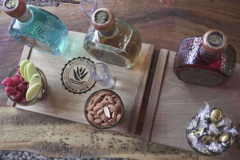 premium-tequila-route-with-professional-tasting