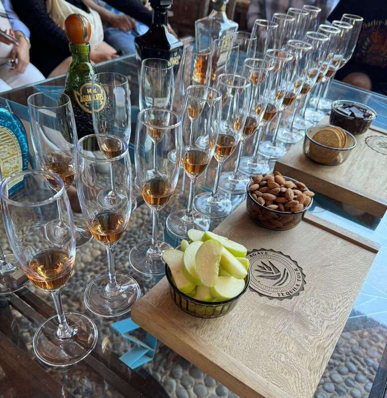 premium-tequila-route-with-professional-tasting
