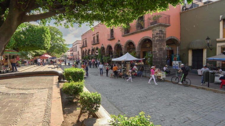 premium-tequila-route-with-professional-tasting
