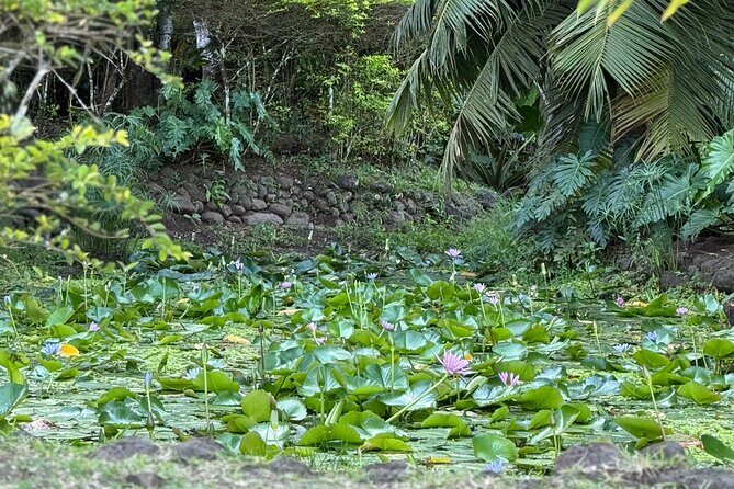 Premium Tour DE Tahiti, EN Half Day Privatised - An In-Depth Review of the Tahiti Half-Day Private Tour