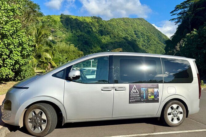 Premium Tour DE Tahiti, EN Half Day Privatised - Who Will Benefit Most?