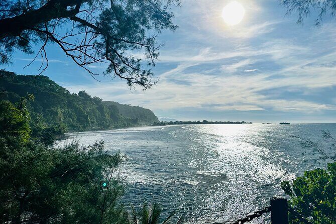 Premium Tour DE Tahiti, EN Half Day Privatised - The Sum Up