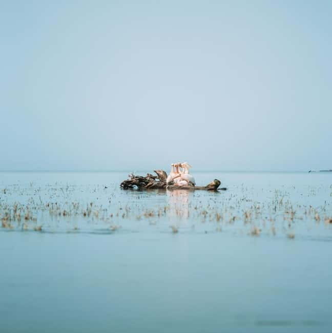 PREMIUM TOUR SMALL GROUP Bucharest-The Heart of Danube Delta - Key Points  