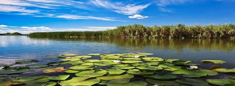 PREMIUM TOUR SMALL GROUP From Bucharest to the Danube Delta - Who Is This Tour Best For?