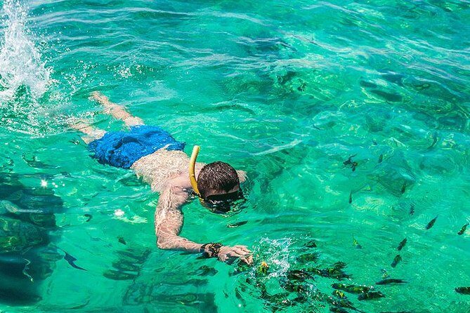 Premium Tour to Phi Phi & Bamboo Island Tours by Speed boat - FAQ