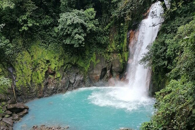 premium-toursloths-and-rio-celeste-y-cortez-waterfalls-tenorio-volcano-park