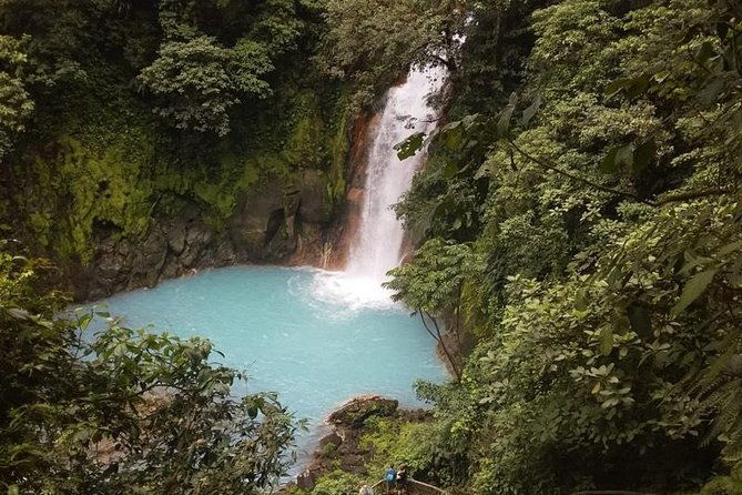 premium-toursloths-and-rio-celeste-y-cortez-waterfalls-tenorio-volcano-park