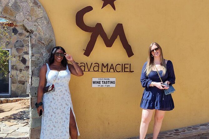 Premium Valle de Guadalupe Wine and Food Tour - Who Would Love This Tour?