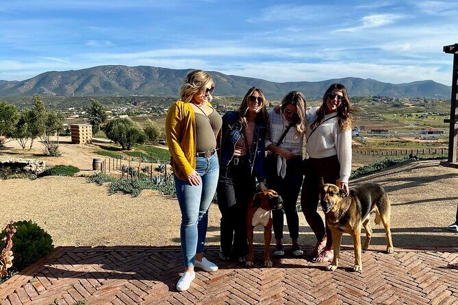 Premium Valle de Guadalupe Wine and Food Tour - Practical Info & FAQs